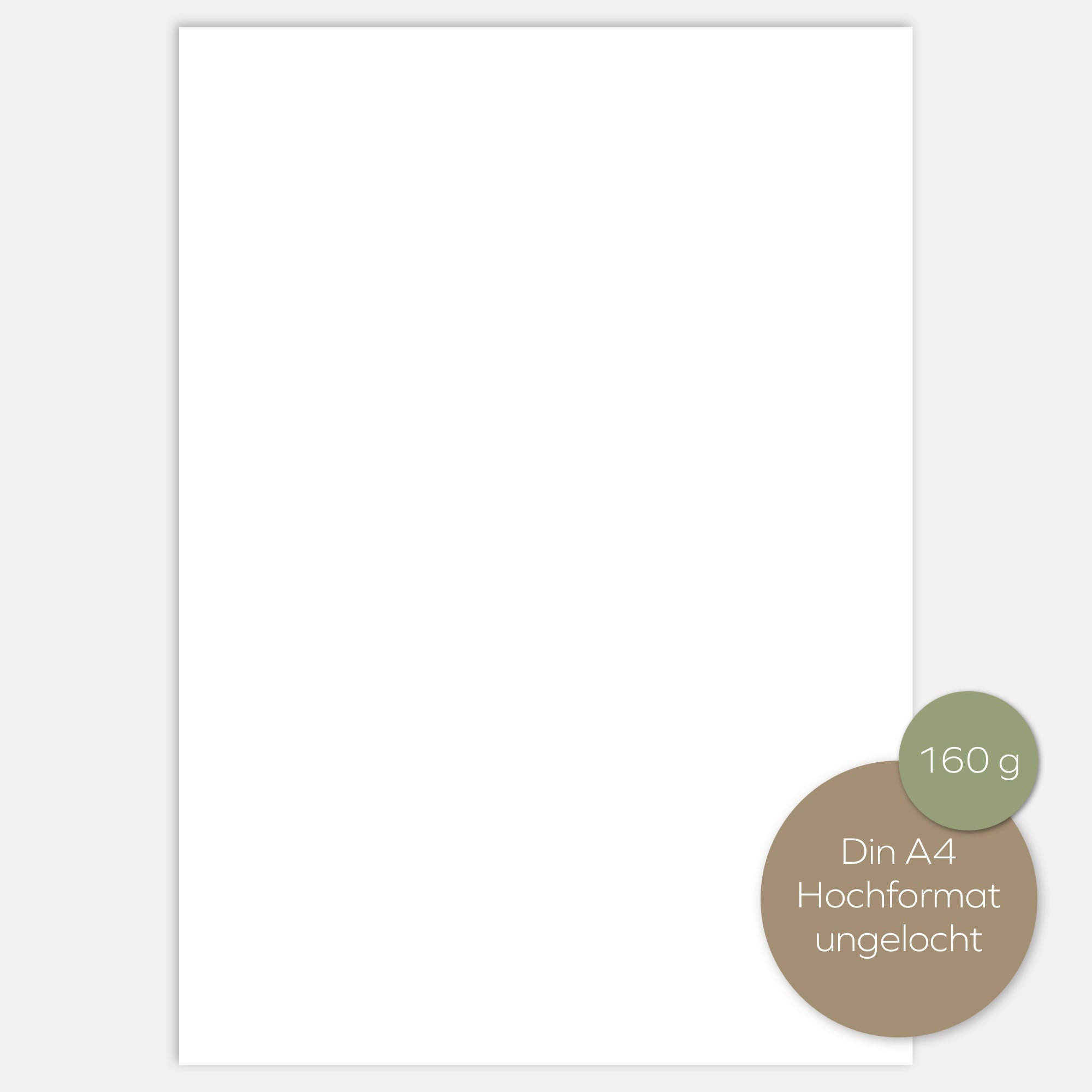 10 Blankobögen 160g A4 Hochformat