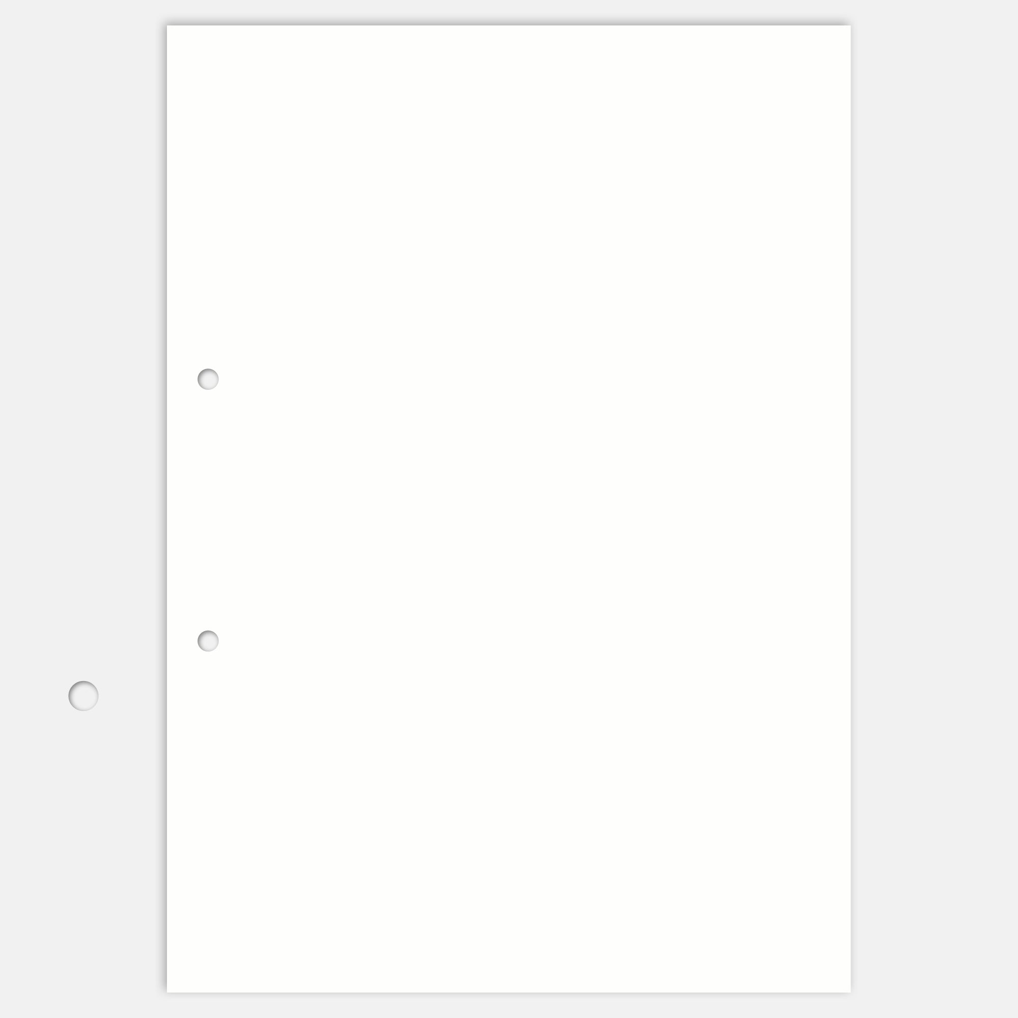 10 Blankobögen 160g A4 Hochformat