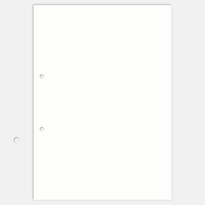 10 Blankobögen 160g A4 Hochformat